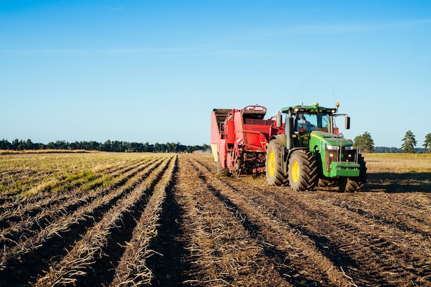 Il trattore sta raccogliendo patate nel campo. Immagine dell'industria agricola