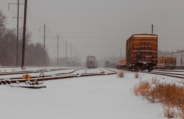 Il treno merci viaggia attraverso le vaste distese innevate