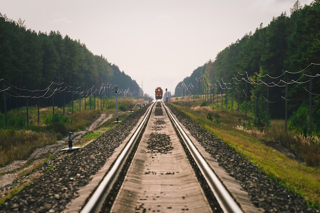 Il treno mistico viaggia in treno lungo la foresta.