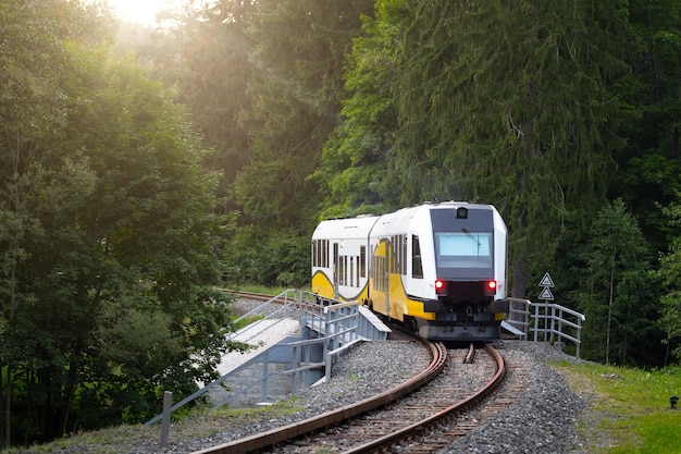 Il treno passa attraverso il viaggio in treno della foresta