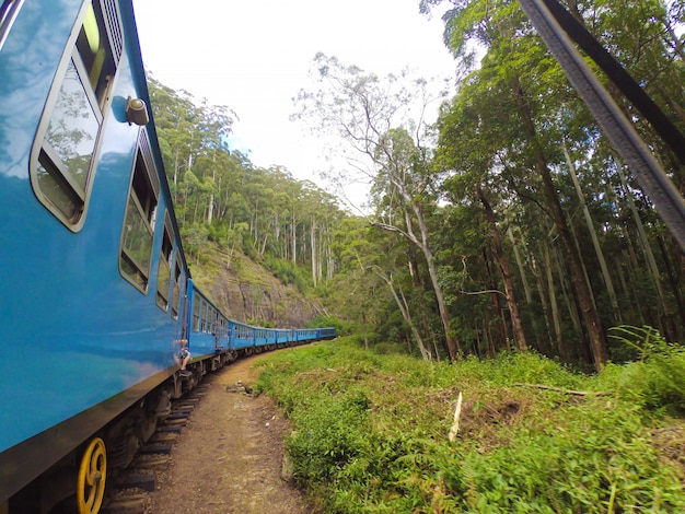 Il treno passeggeri con i turisti guida attraverso il verde la giungla dello Sri Lanka