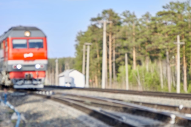 Il treno viaggia lungo i binari della ferrovia attraverso la foresta durante il giorno