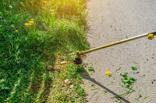 Il trimmer da giardino senza scrupoli falcia l'erba vicino al recinto