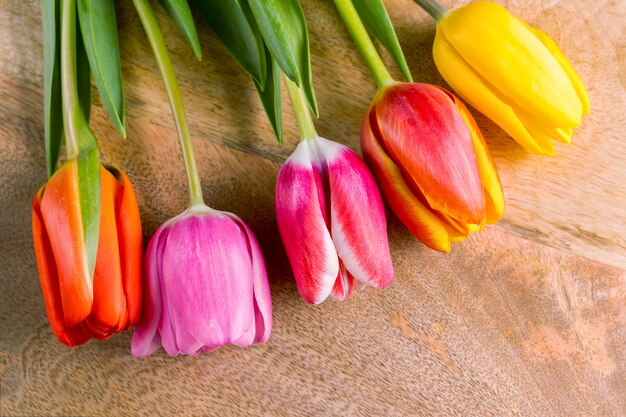 Il tulipano della primavera fiorisce il mazzo su fondo di legno