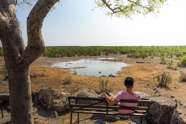 Il turista attende la fauna selvatica presso la pozza d'acqua della moringa vicino a halali etosha namibia