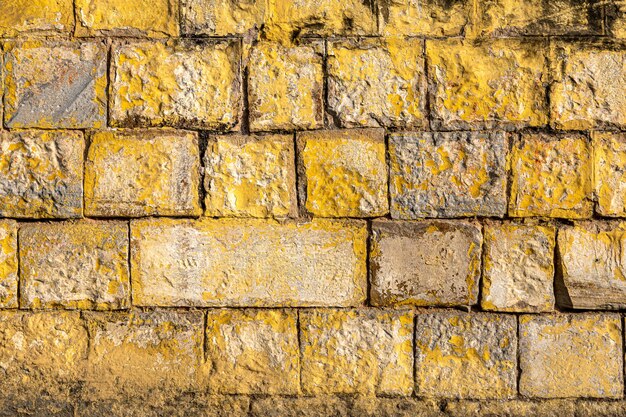 Il vecchio muro di mattoni di lerciume ha dipinto il colore giallo di fondo e di struttura.