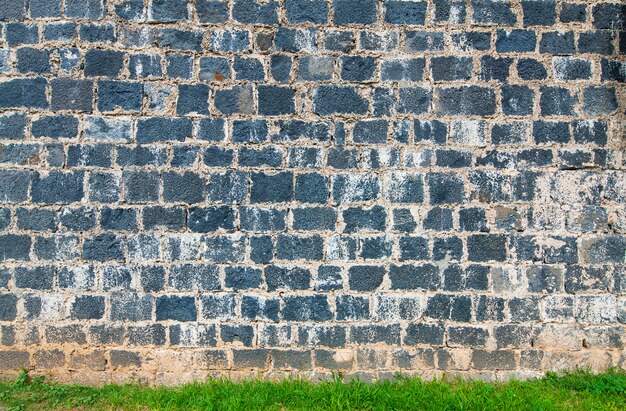 Il vecchio muro di mattoni e l'erba verde