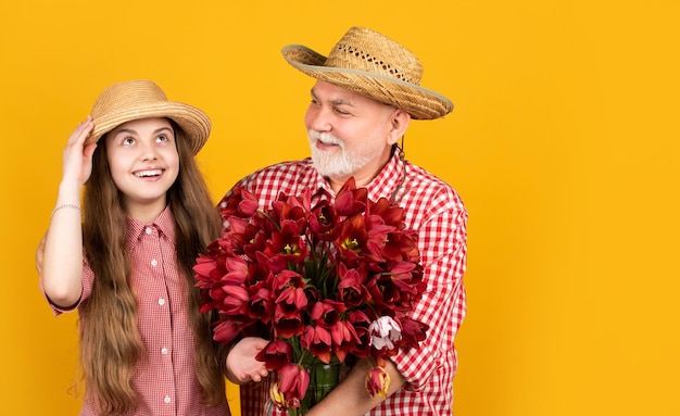 Il vecchio nonno felice con la nipote tiene i fiori del tulipano su sfondo giallo