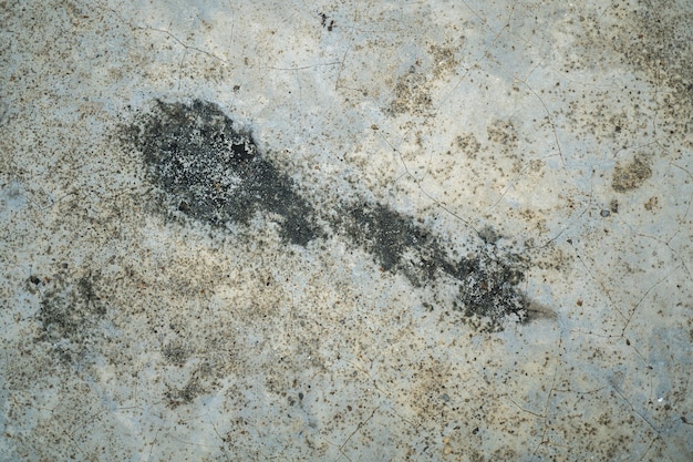 Il vecchio pavimento di cemento.