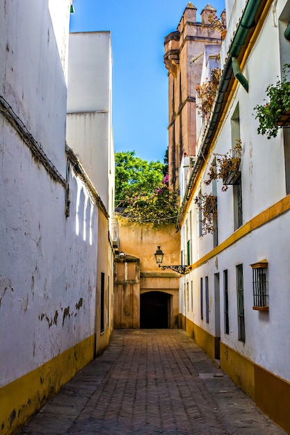 Il vecchio quartiere ebraico di Siviglia, Spagna