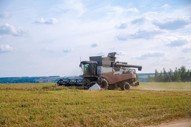 Il vecchio tracktor ara la mietitrice di campo raccoglie il grano da un campo agricolo seminato