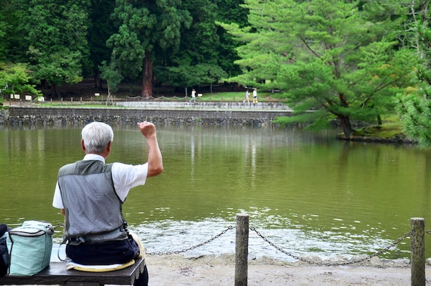 Il vecchio uomo che alimenta la carpa fantasia o il pesce Koi nello stagno nel giardino del tempio di Todaiji il 9 luglio 2015 a Nara Giappone