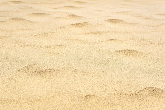 Il vento increspa la superficie sabbiosa nel deserto