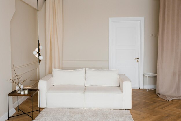 Il vero interno di un luminoso soggiorno con divano dal moderno stile minimalista scandinavo