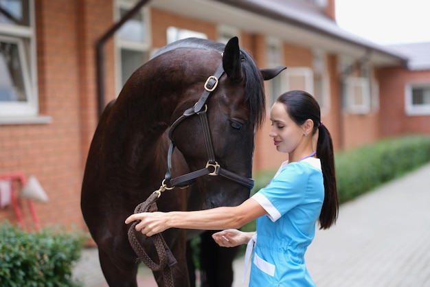 Il veterinario della donna fa l'esame medico del cavallo nell'azienda agricola