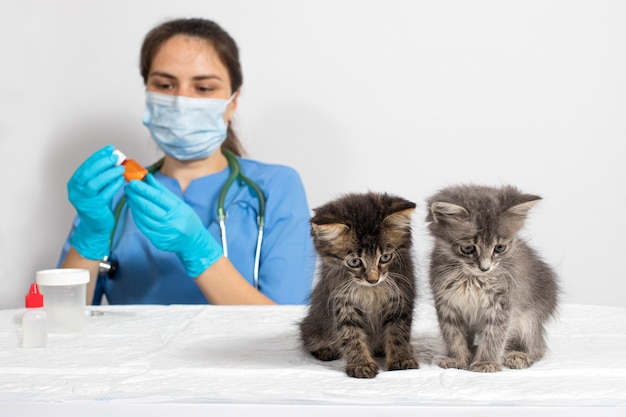 Il veterinario e due piccoli gattini nell'ufficio del medico.