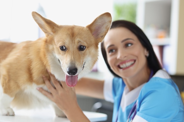 Il veterinario femminile sorridente conduce l'esame del concetto di servizi della clinica veterinaria del cane