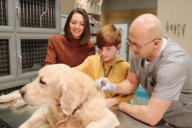 Il veterinario maturo che ascolta il cane con lo stetoscopio con i proprietari in piedi vicino alla clinica