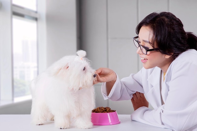 Il veterinario strofina il suo cane mentre lo nutre nella sua clinica
