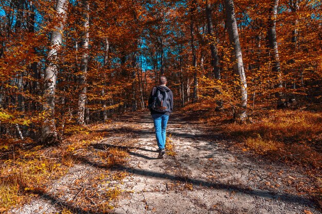 Il viaggiatore con uno zaino e una macchina fotografica cammina lungo un sentiero nel bosco