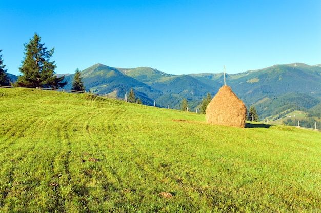 Il villaggio di montagna estivo è circondato da campi e pagliaio