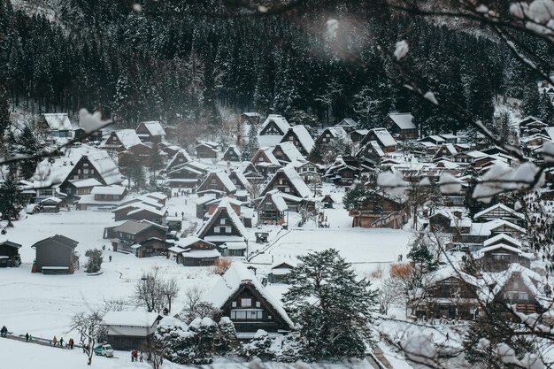Il villaggio di Shirakawago con la neve bianca è il migliore per i turisti che viaggiano nella stagione invernale del Giappone