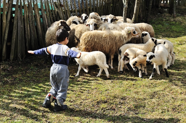 Il villaggio funziona