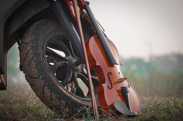 Il violino tiene l'immagine di livello scoorty