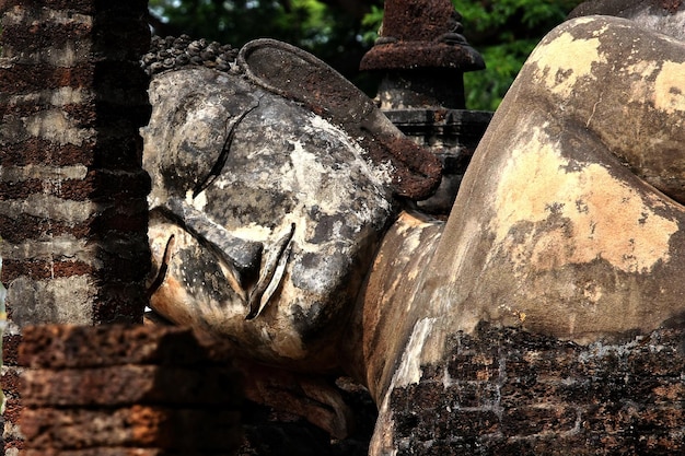 Il viso della statua è bellissimo.