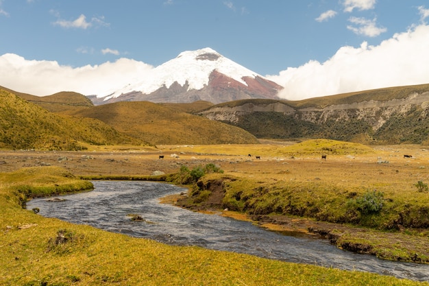 Il vulcano Cotopaxi e un fiume tortuoso