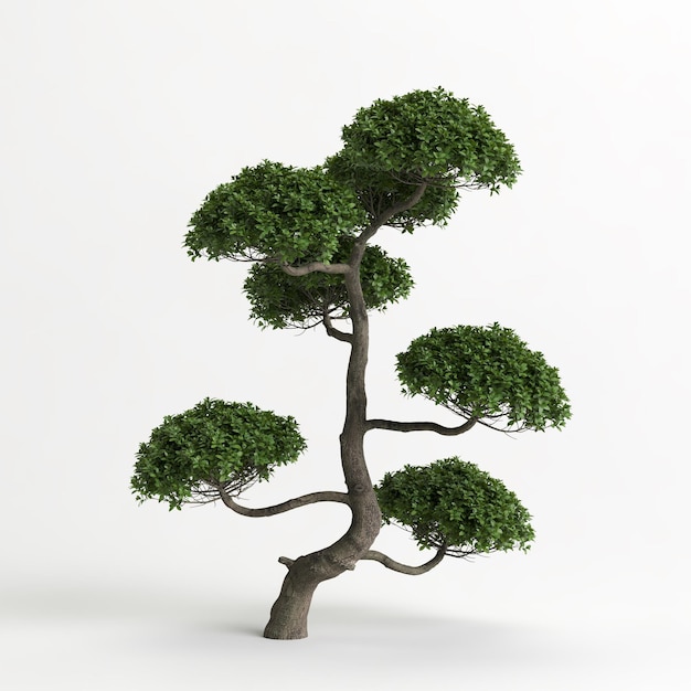 Illustrazione 3d del bonsai di Carmona microphylla isolato su bianco e della sua maschera