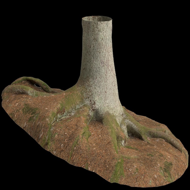 Illustrazione 3D del tronco isolato su sfondo nero