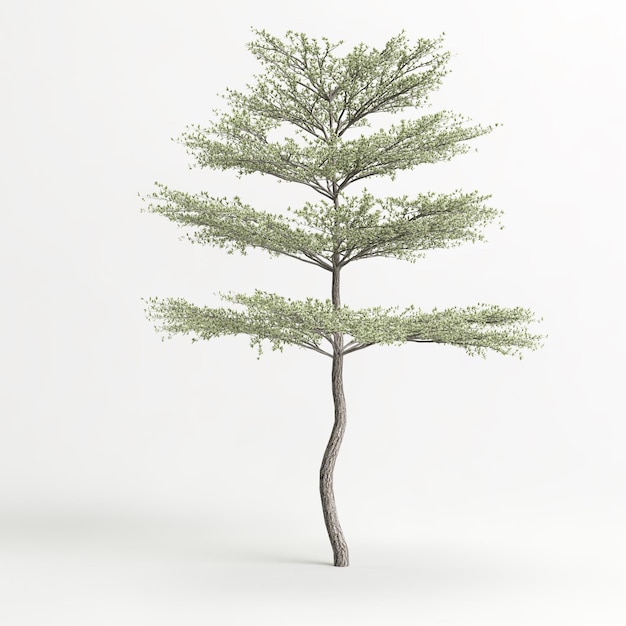 illustrazione 3d di albero isolato su sfondo bianco