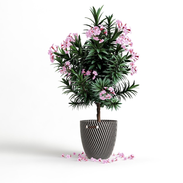 Illustrazione 3d di pianta d'appartamento in vaso isolata su sfondo bianco