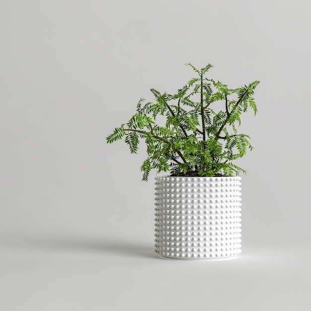 Illustrazione 3d di piante d'appartamento in ceramica isolate su sfondo bianco