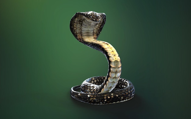 illustrazione 3d King Cobra Il serpente velenoso più lungo del mondo039s isolato su sfondo verde