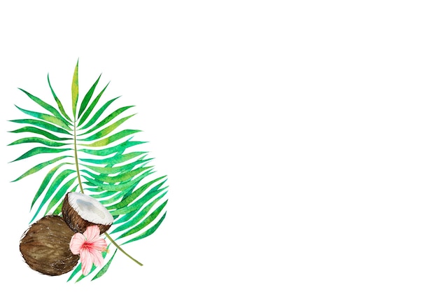 Illustrazione acquerello dei tropici Foglie e fiori tropicali di cocco su uno sfondo colorato