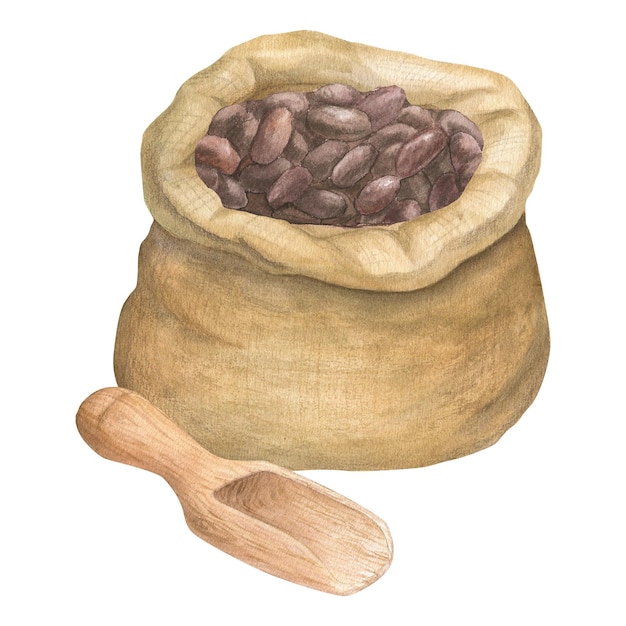 Illustrazione acquerello della borsa di tela per semi di cereali farina in polvere con semi di cacao con spatola o paletta Illustrazione disegnata a mano isolata