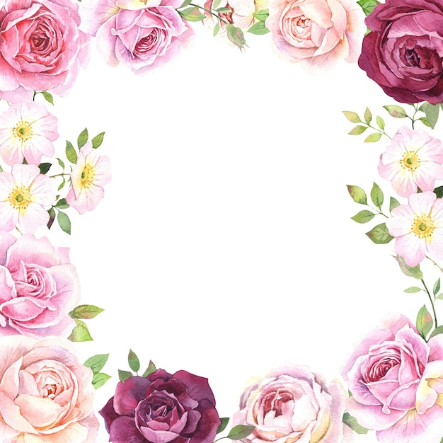 Illustrazione acquerello Rose rosa bordo su uno sfondo bianco