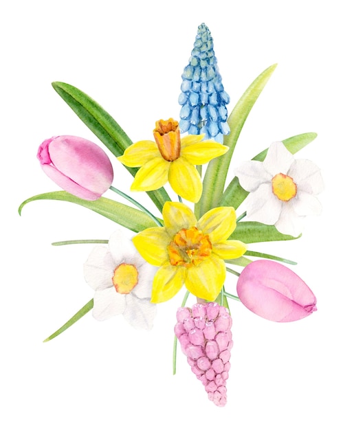 Illustrazione ad acquerello bouquet di primavera con narcisi tulipani Muscari e foglie