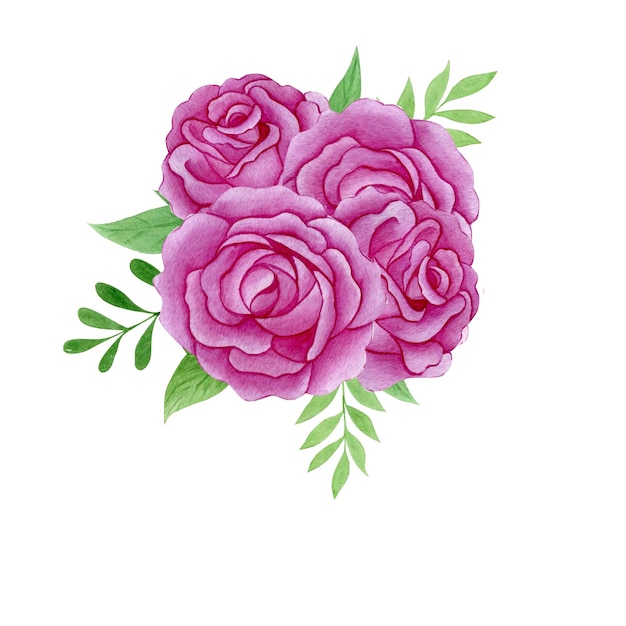 Illustrazione ad acquerello bouquet di rose