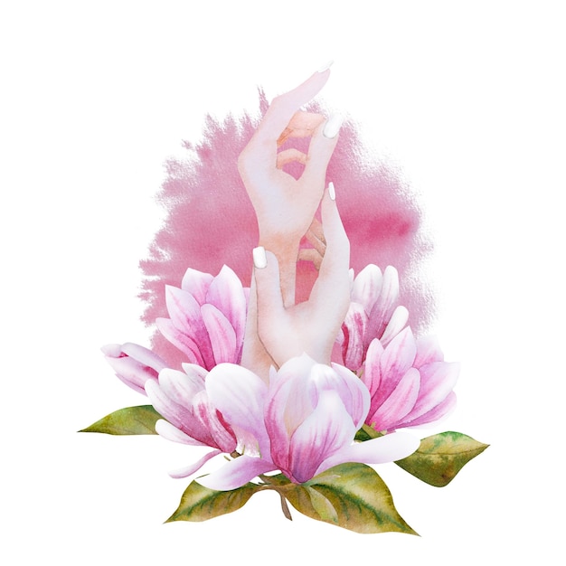 Illustrazione ad acquerello con fiori di magnolia rosa in fiore e fasce da donna per l'8 marzo