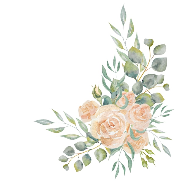 Illustrazione ad acquerello con fiori di rosa di pesca e rami di eucalipto bouquet con rose di pesca