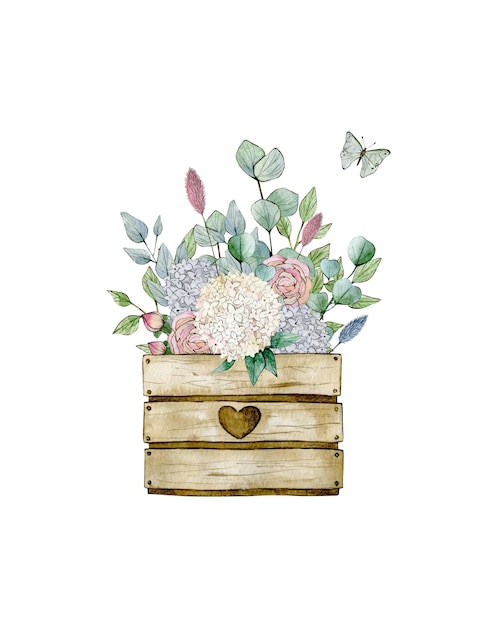 Illustrazione ad acquerello con fiori di scatola di legno foglie di eucalipto e farfalla Disegnata a mano