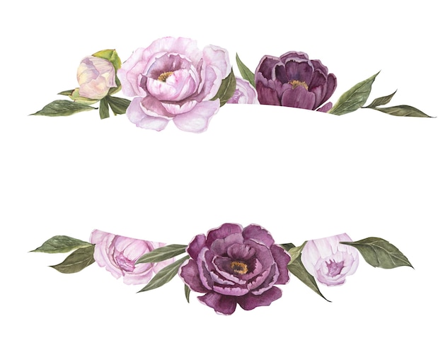 Illustrazione ad acquerello del fiore di peonia rosa e viola cornice isolato