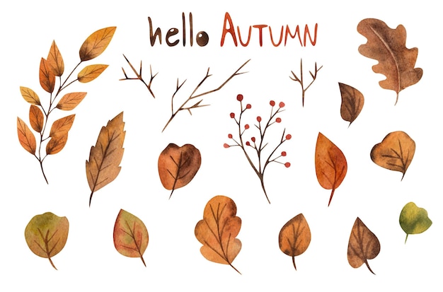 Illustrazione ad acquerello delle foglie d'autunno