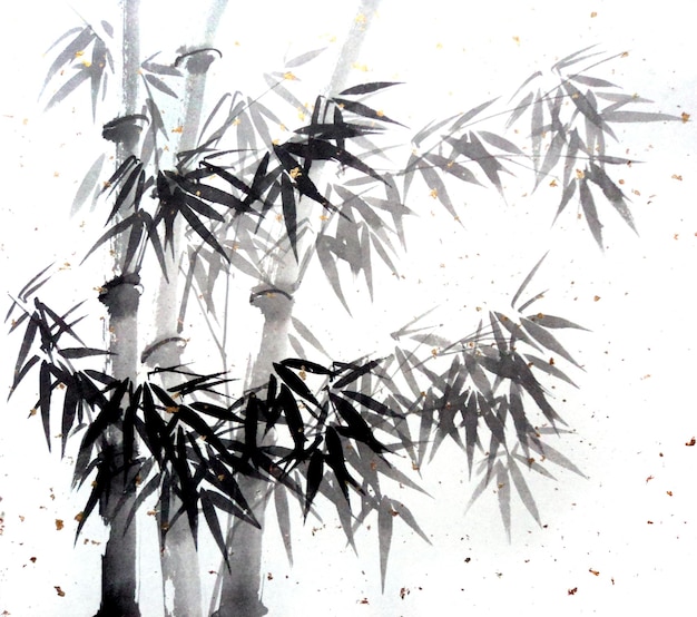 Illustrazione ad acquerello di bambù Inchiostro cinese tradizionale e pittura di lavaggio isolata su bianco