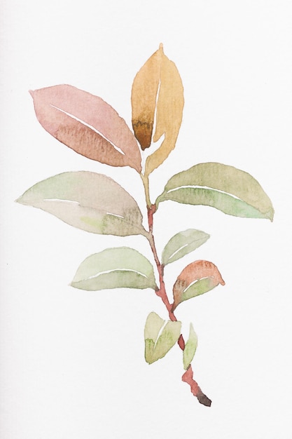 Illustrazione ad acquerello di foglie autunnali gialle e rosse