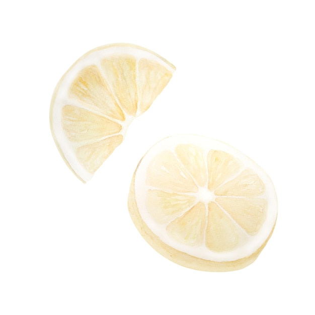 Illustrazione ad acquerello di limoni isolati su sfondo bianco