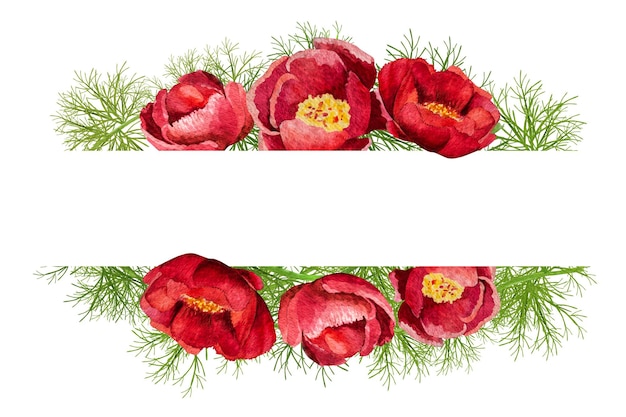 Illustrazione ad acquerello di peonie telaio e carta thinleaved su sfondo bianco